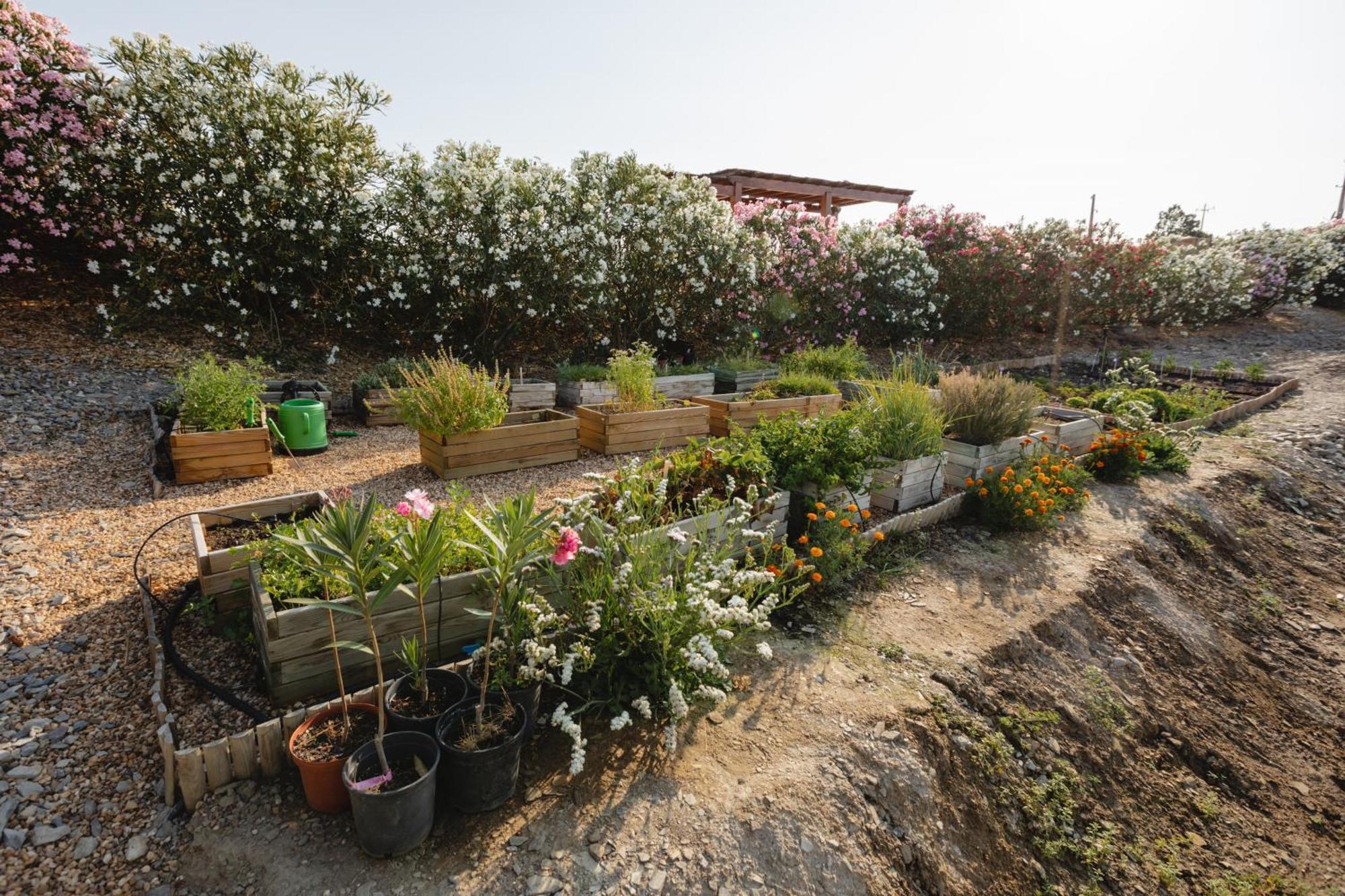 Вилла Monte Vale - Organic Farm Entradas Экстерьер фото